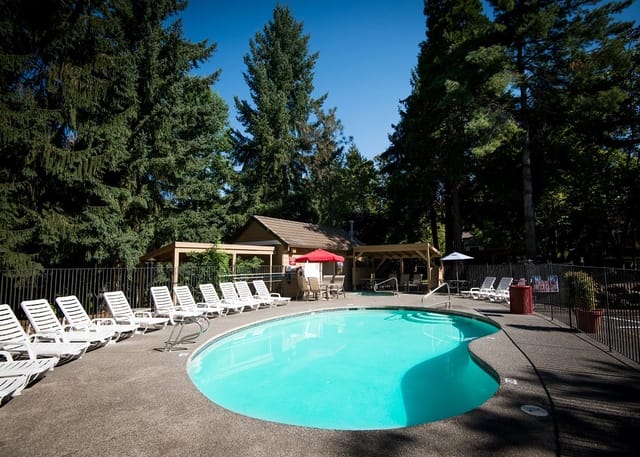 An outdoor swimming pool surrounded by lounge chairs and tall trees.