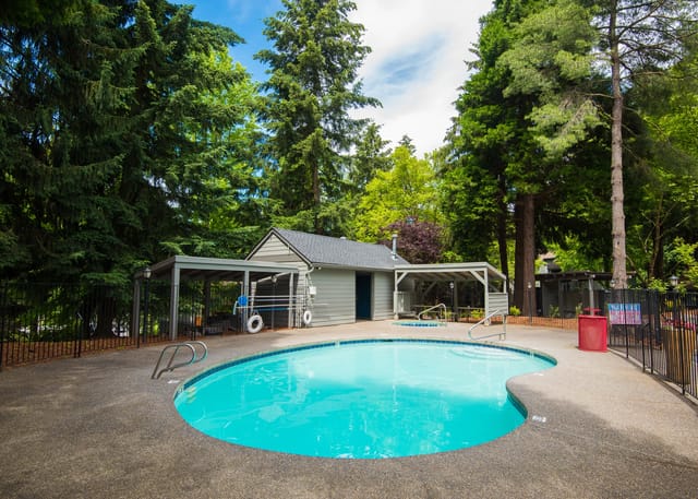 Outdoor swimming pool with a spa and covered seating area surrounded by trees.