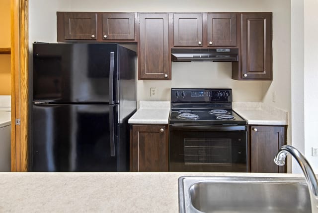 Black refrigerator and electric stove in a kitchen with dark wood cabinets.