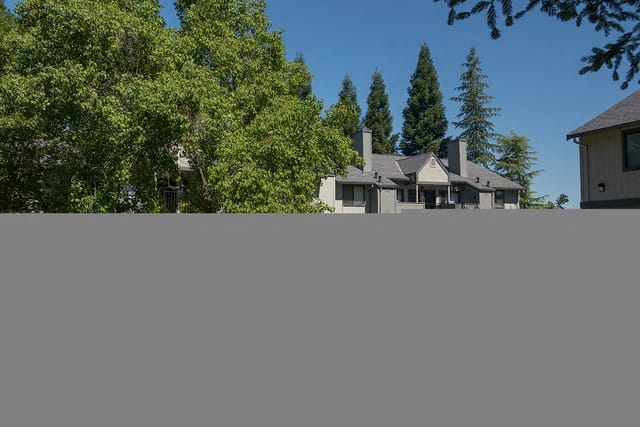 Exterior view of apartment buildings with mature trees and clear blue sky.