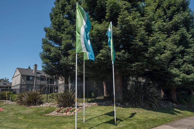 Flags in front of apartment buildings