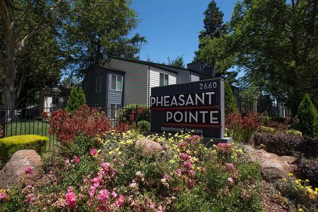 Pheasant Pointe apartment homes monument sign surrounded by lush landscaping and trees.