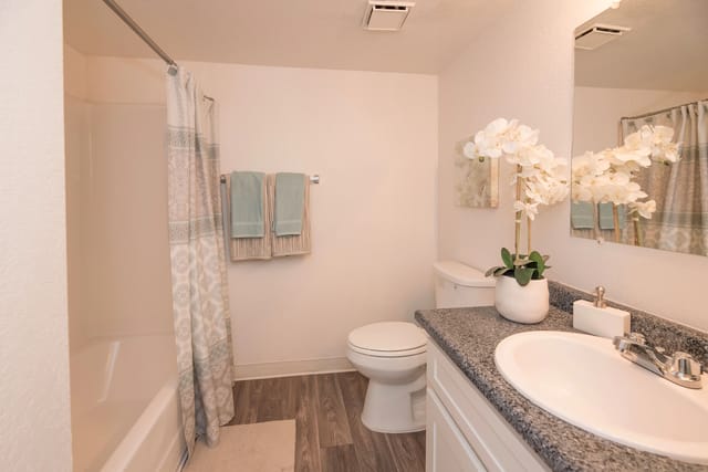 Bathroom with white vanity, granite countertop, and walk-in shower.