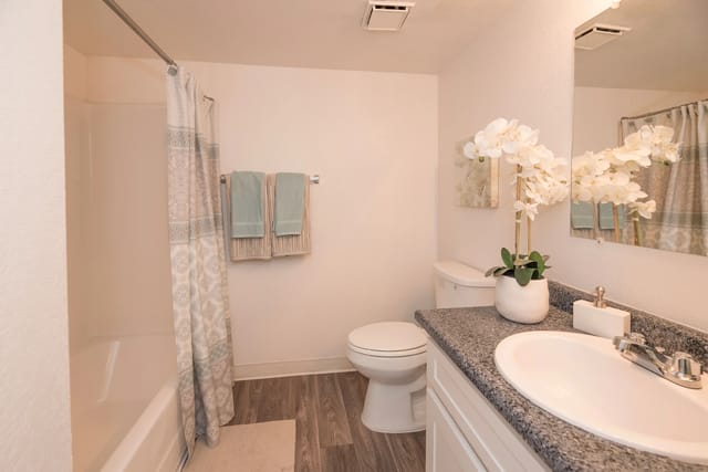 Bright apartment bathroom with vanity, sink, toilet, and shower curtain