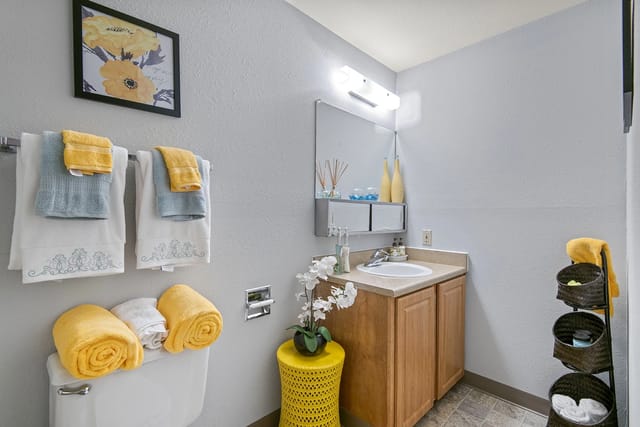 Bathroom with vanity, toilet, and decorative items.