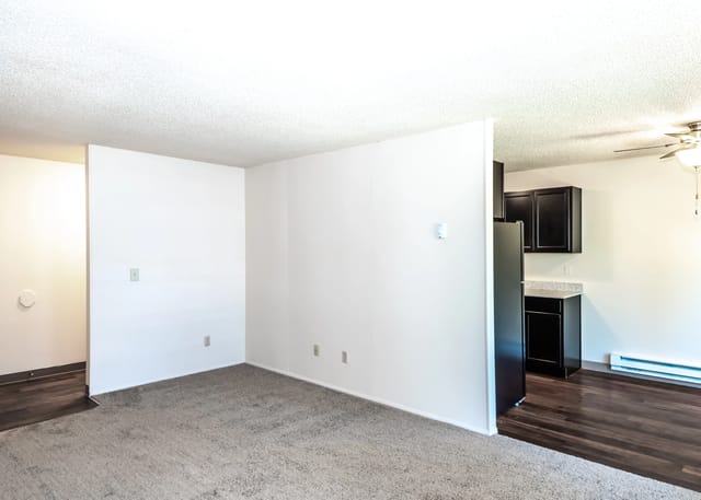 Living room and kitchen area in an apartment.