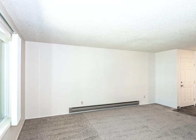Empty living room with neutral carpet, white walls, and a large window.