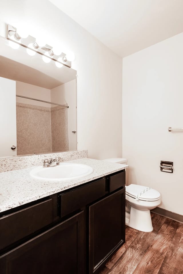 Bathroom vanity with speckled countertop, sink, and mirror, adjacent to a toilet.