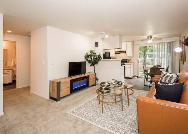 Living room with a TV, electric fireplace, coffee tables, and a sofa.