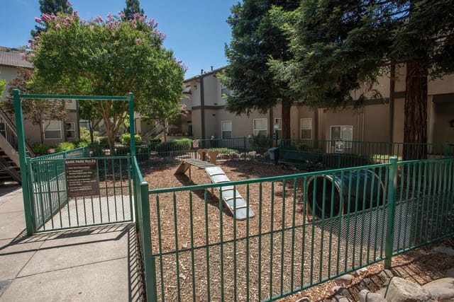 A fenced-in dog park with agility equipment and trees.