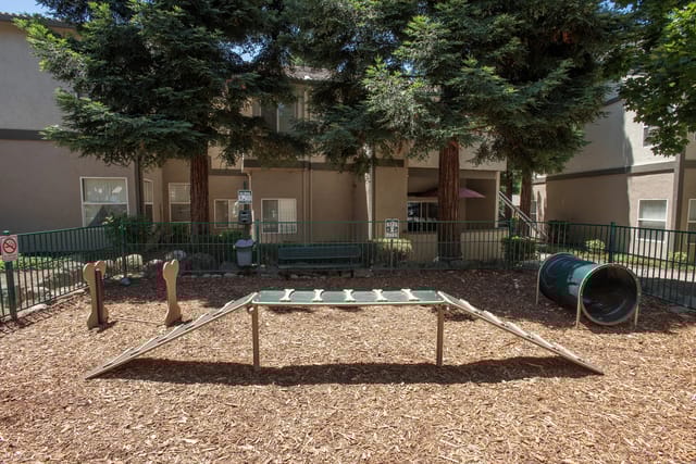 Dog park with agility equipment, including a ramp and tunnel, in front of apartment buildings.