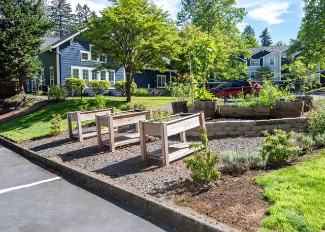 Raised garden beds and lush greenery with apartment buildings in the background.