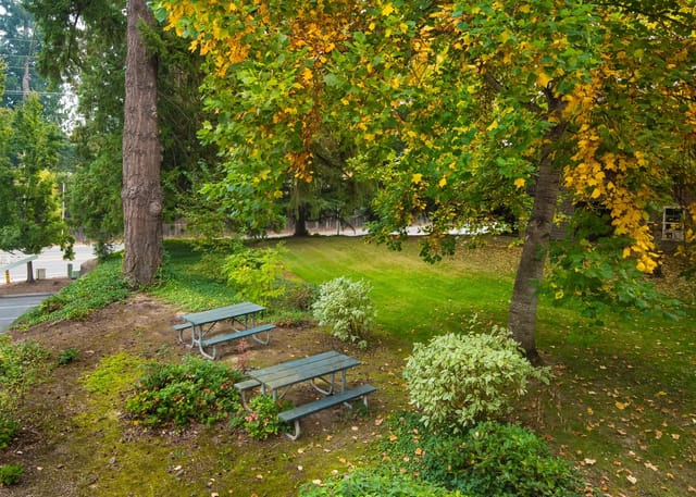 Picnic tables set in a park-like setting with autumn foliage.