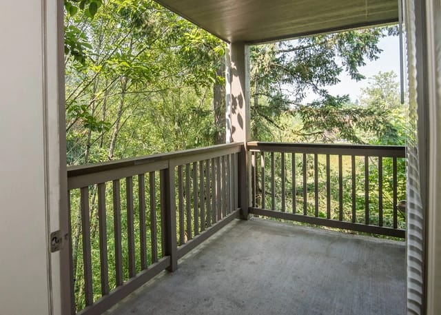 Balcony with a view of trees and greenery.
