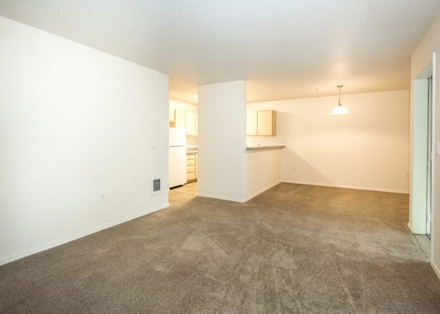 Spacious living area and kitchen in an apartment unit.