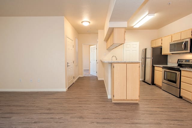 Modern kitchen with stainless steel appliances and light wood cabinets.
