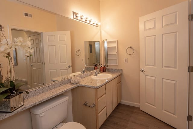Bathroom with granite countertop, vanity, toilet, and mirror