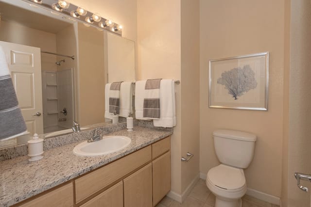 Bathroom vanity with sink, mirror, and lighting, adjacent to a toilet and shower.
