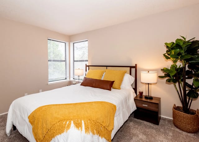 Cozy bedroom with a queen-size bed, yellow and brown accent pillows, and a large plant.