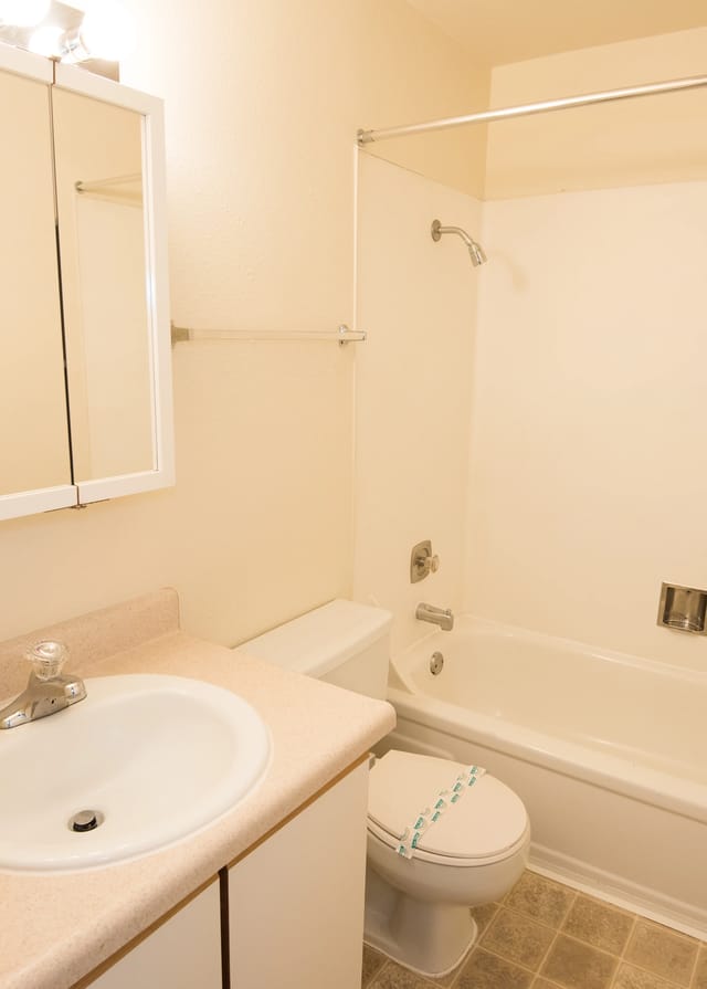 Bathroom with a sink, toilet, and bathtub with shower.