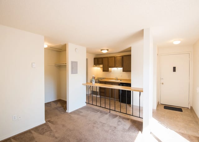 Apartment interior with kitchen and entrance