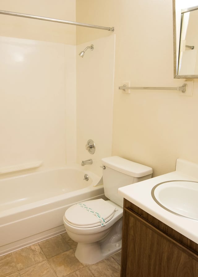 Bathroom with a bathtub, shower, toilet, and vanity.