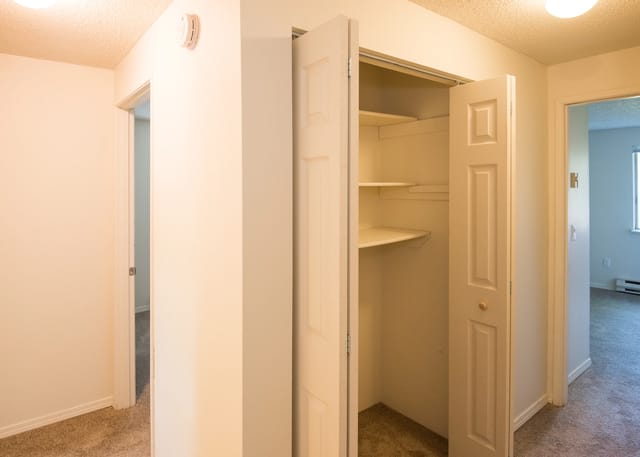 Empty closet with bifold doors open, showing shelves, next to a doorway.