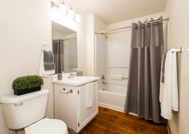 Bathroom with a toilet, vanity, and bathtub with shower.
