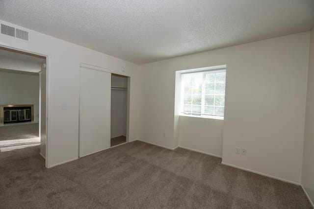 Bedroom with carpet, closet, and window