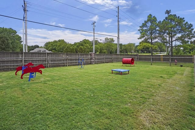 Dog park with agility equipment including red horse figures, a blue weave pole, and a red tunnel.