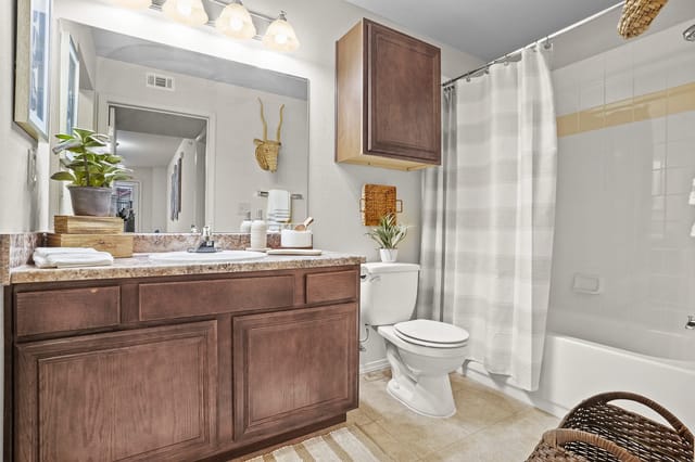 Bathroom with vanity, toilet, and bathtub with shower curtain.