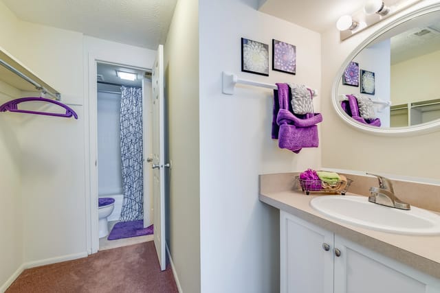 Bathroom vanity with sink, mirror, and towels; closet and toilet visible.