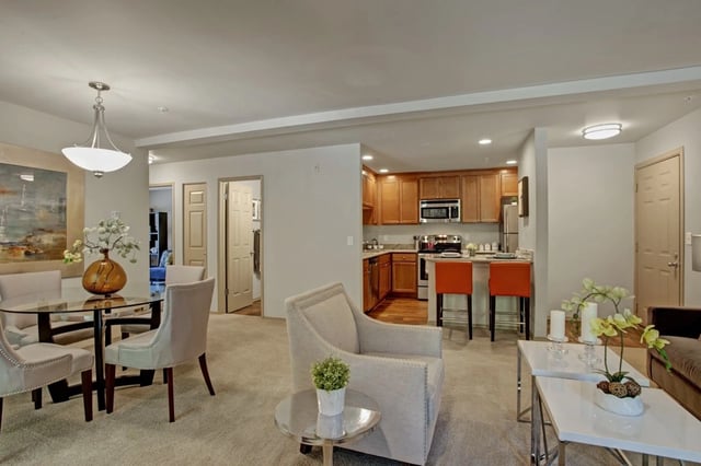 Living area and kitchen of an apartment.