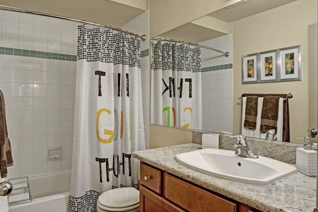 Bathroom with vanity, sink, toilet, and shower with a decorative shower curtain.