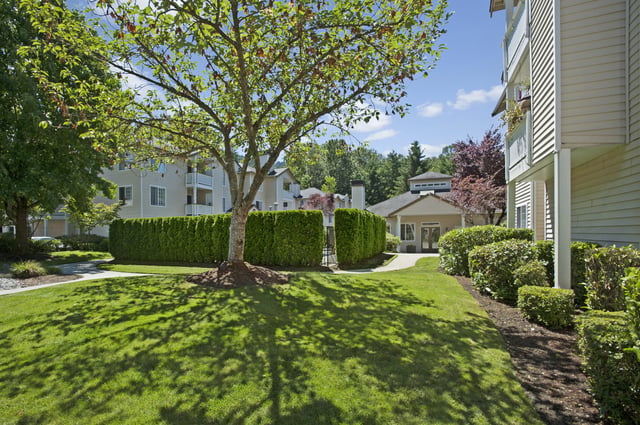 Lush green lawn and landscaping with apartment buildings in the background.