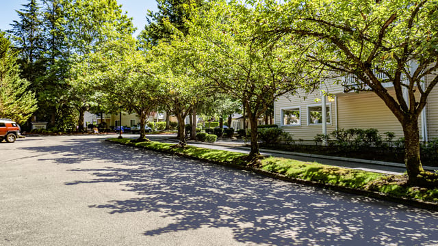 Tree-lined street with apartment buildings in the background and shadows on the asphalt.