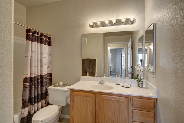 Bathroom with vanity, sink, toilet, and shower with decorative curtain.