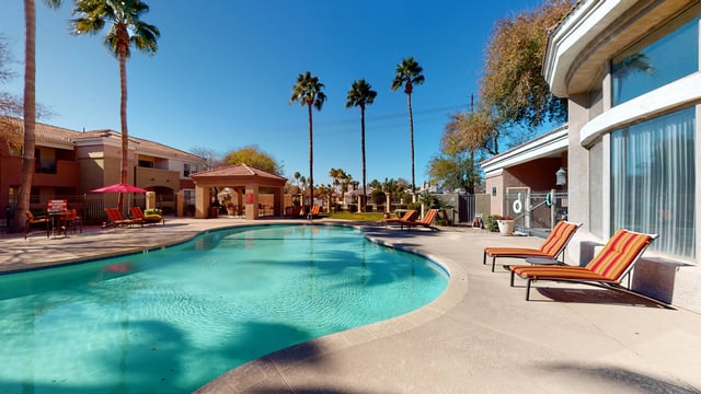 Resort-style swimming pool with lounge chairs and palm trees at an apartment complex.