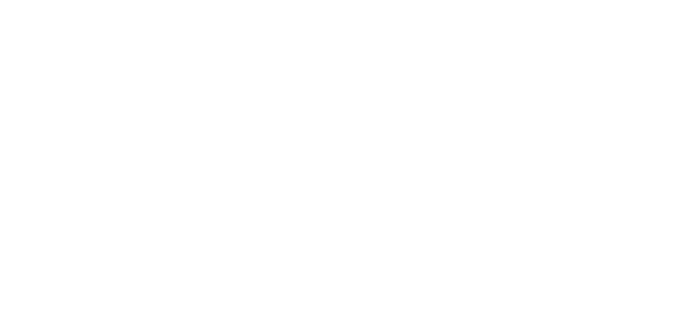 Dobson Towne Centre
