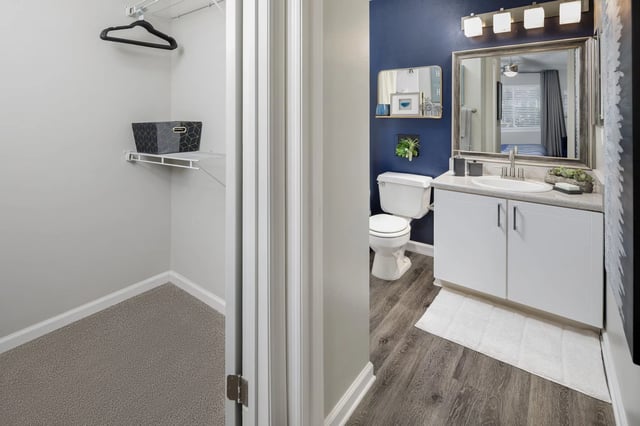 Bathroom with walk-in closet