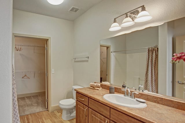 Bathroom with vanity, sink, toilet, and walk-in closet.