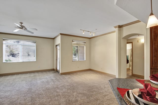 Spacious living room with carpet, a ceiling fan, and large windows.