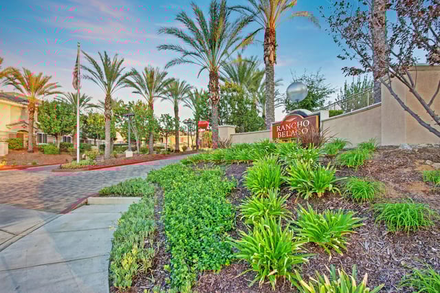 Rancho Belago apartment community entrance with palm trees and landscaping.