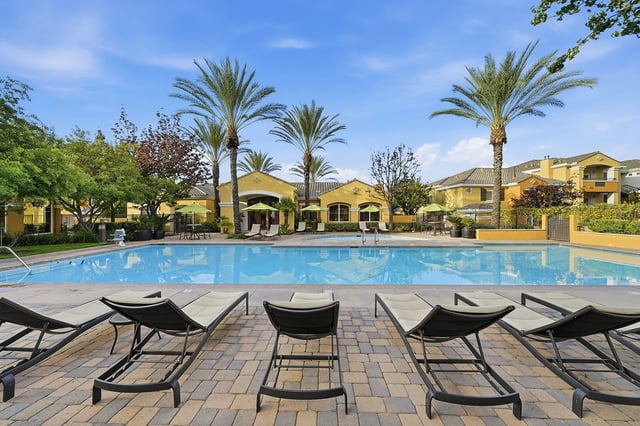 Resort-style swimming pool with lounge chairs and palm trees.