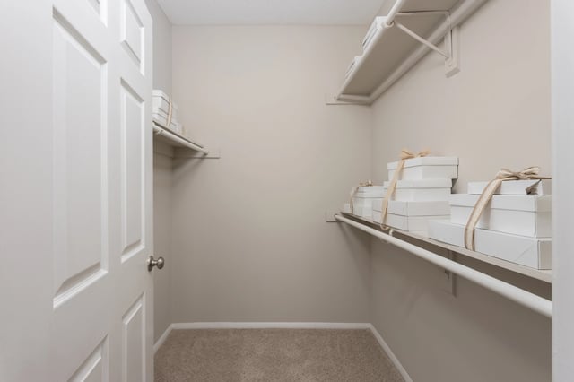 Walk-in closet with shelves and boxes.