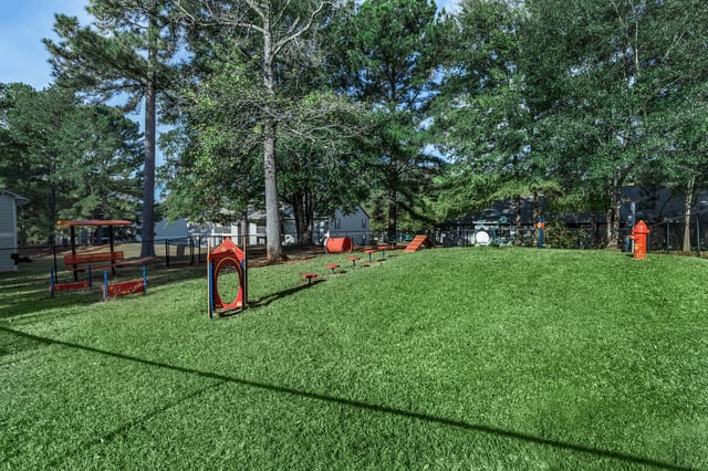 Dog park with agility equipment