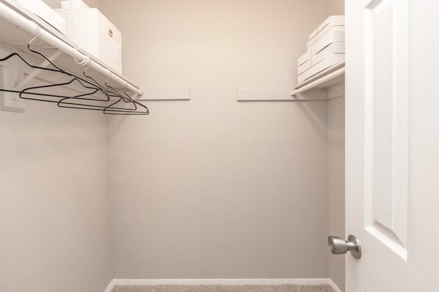 Empty closet with shelves and hanging rod
