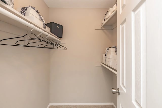 Walk-in closet with shelves and hangers.