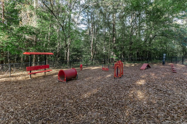 Dog park with agility equipment including tunnels, ramps, and jumps.