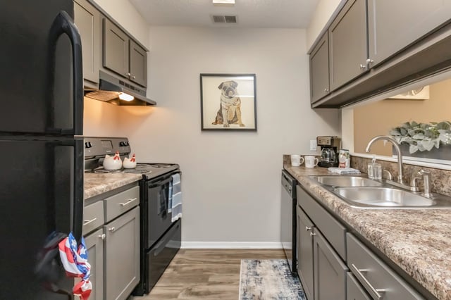 Kitchen with gray cabinets, black appliances, and a dog portrait.